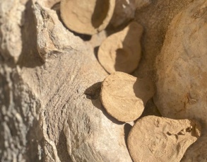 مشاركة جمعية فلسطين للمكفوفين في صناعة الصلصال 